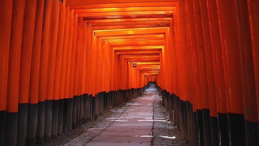 D7_Fushimi Inari-taisha_image credit japan-guide.com