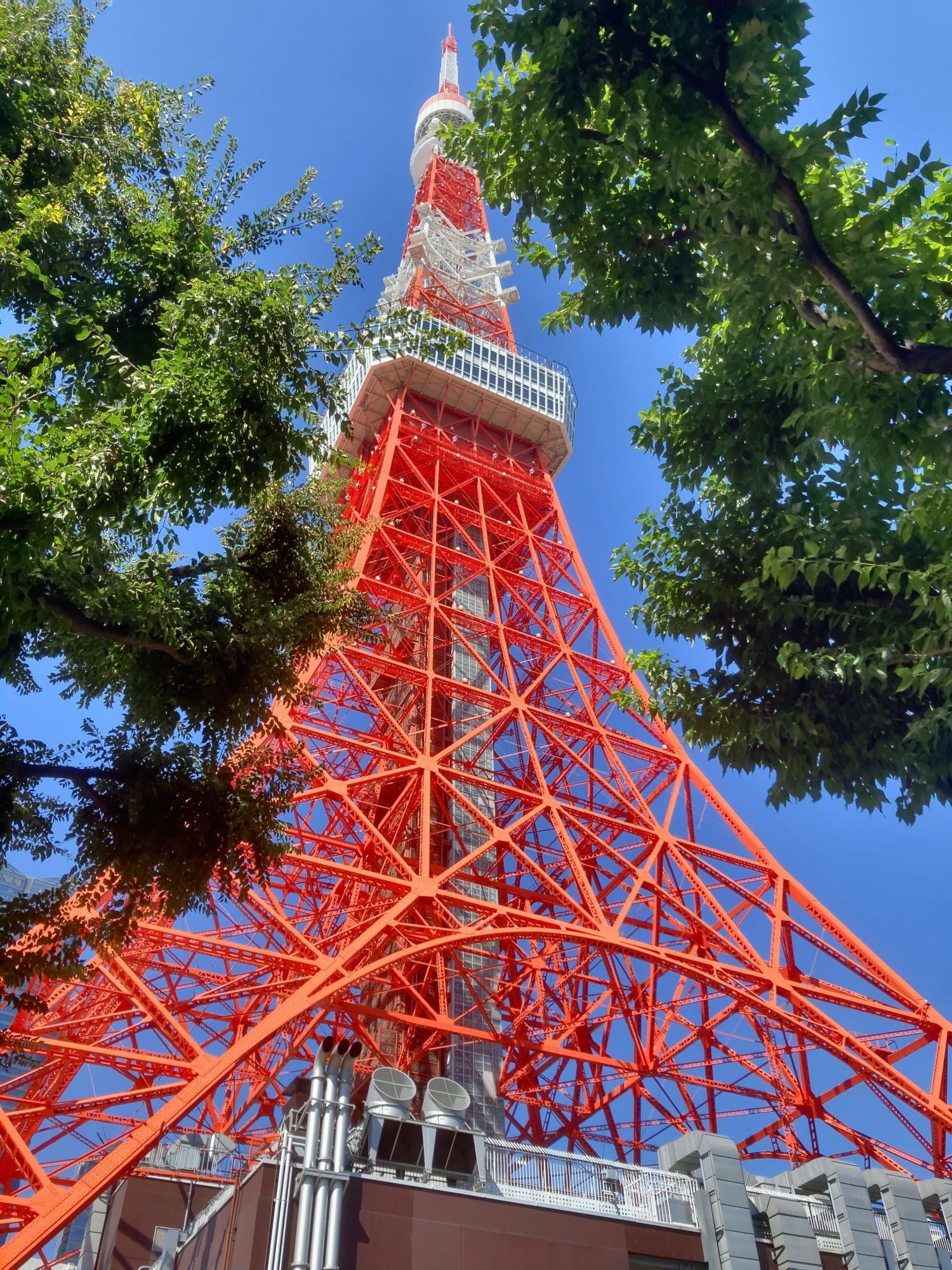 D1_Tokyo free and easy_Tokyo Tower