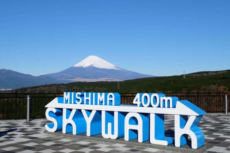 D6_Mishima Skywalk_image credit mishima-skywalk.jp