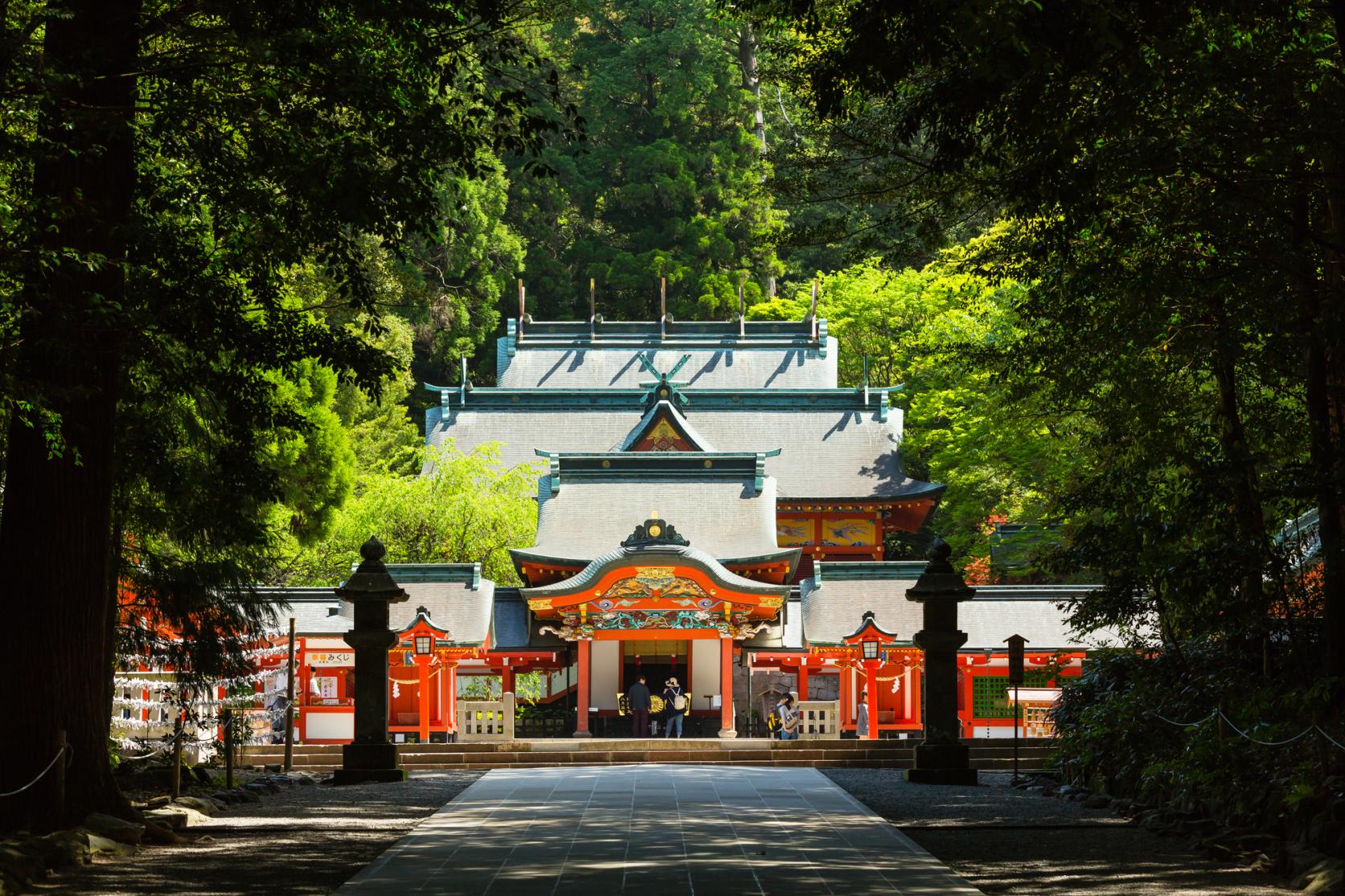 D6_Kirishima Jingu Shrine_image credit kagoshima-kankou.com