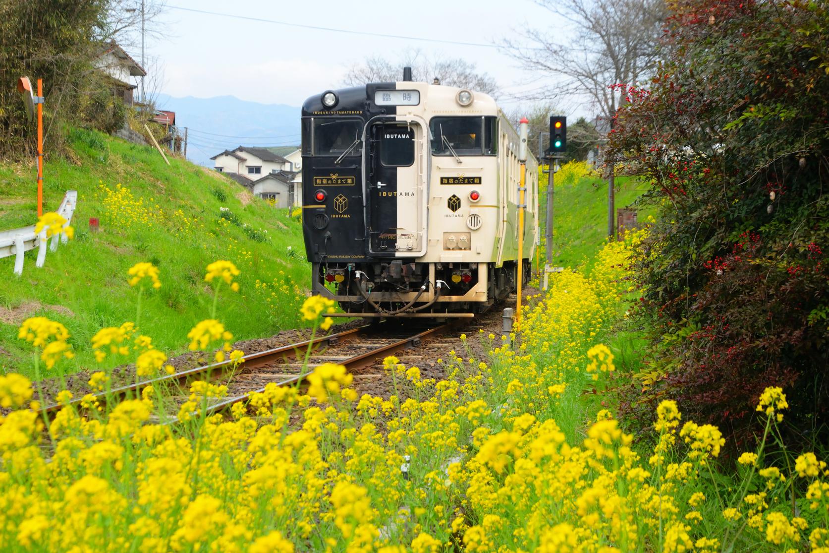 D7_Ibusuki No Tamatebako Sightseeing Train_image credit kagoshima-kankou.com