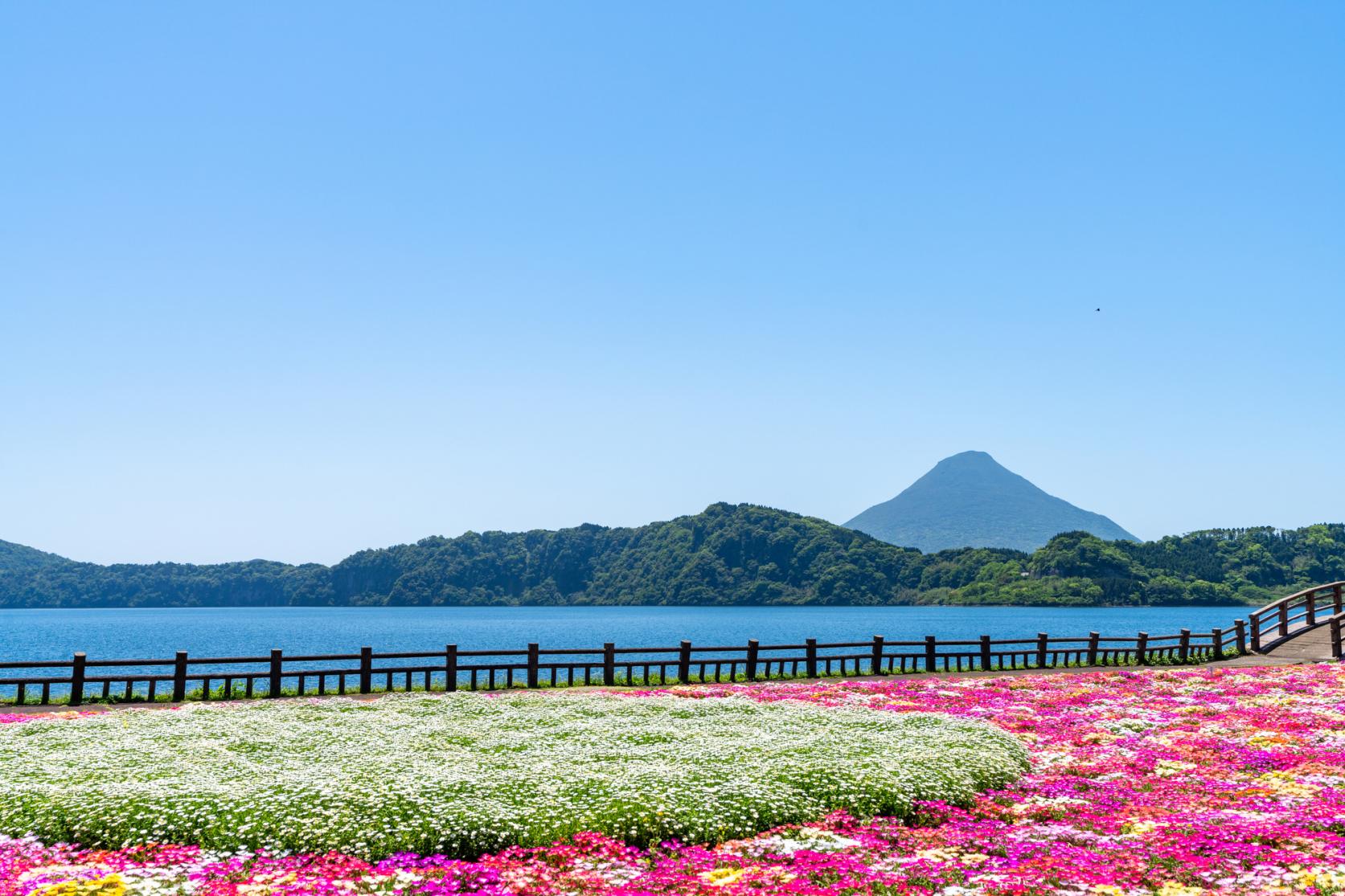 D8_Lake Ikeda_image credit kagoshima-kankou.com